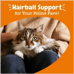 Zesty Paws Hairball Bites Bacon Flavored Soft Chews Digestive Supplement For Cats -Furry Friends 249423 PT4. AC SS1800 V1696441927