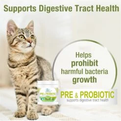 Four Paws Healthy Promise Pre & Probiotics Soft Chews Cat Supplement, 90 Count -Furry Friends 249498 PT3. AC SS1800 V1597937177