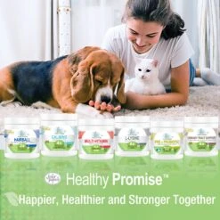 Four Paws Healthy Promise Pre & Probiotics Soft Chews Cat Supplement, 90 Count -Furry Friends 249498 PT8. AC SS1800 V1597937482