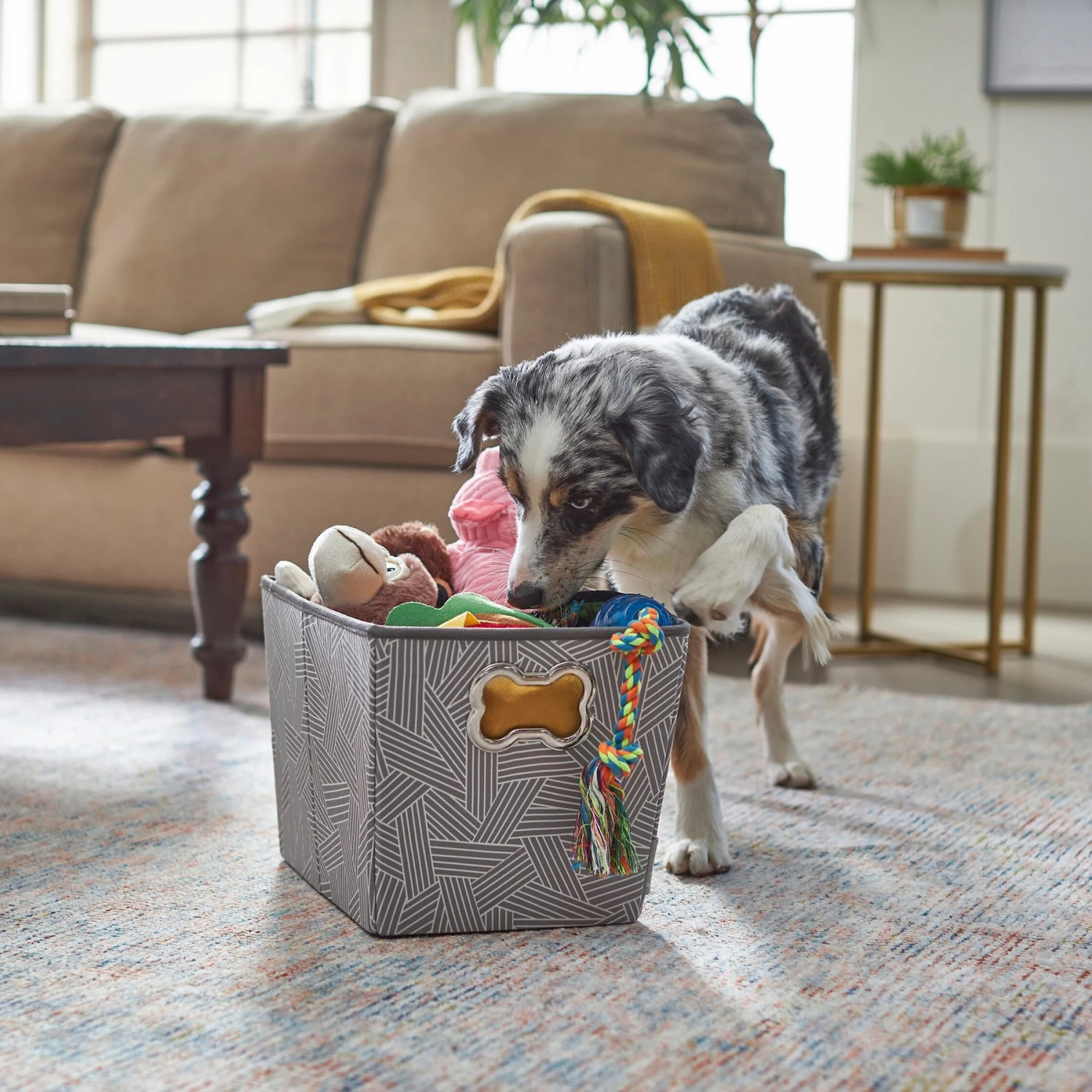 Frisco Rectangle Collapsible Pet Toy Storage Bin, Gray Basket Weave 3 Frisco Rectangle Collapsible Pet Toy Storage Bin, Gray Basket Weave