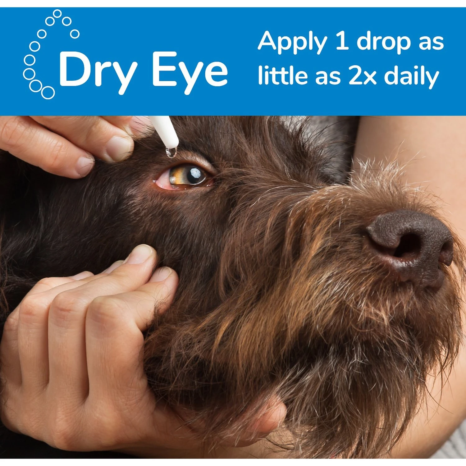 Ocunovis Dog & Cat Gel Eye Drops 5 Ocunovis Dog & Cat Gel Eye Drops - Image 3