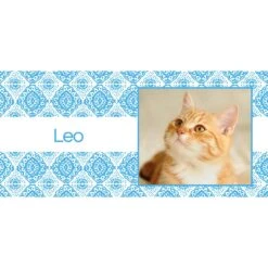 Frisco Boho Damask Red Personalized Coffee Mug, 11-oz -Furry Friends 250733 PT2. AC SS1800 V1605323232