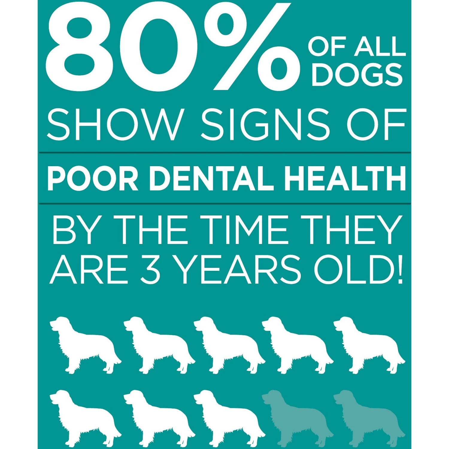 TevraPet Brush Free Dog & Cat Oral Gel 10 TevraPet Brush Free Dog & Cat Oral Gel - Image 8