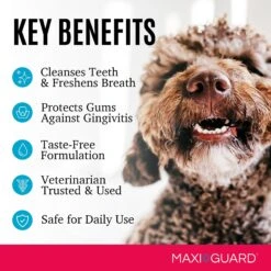 MAXI/GUARD Pet Dental Wipes 11 MAXI/GUARD Pet Dental Wipes -Furry Friends 251381 PT4. AC SS1800 V1602540706