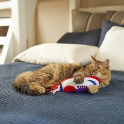 Frisco Baseball Cleat Cat Toy -Furry Friends 252734 PT5. AC SS1800 V1615814504