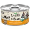 Purina Beyond High Protein Organic Chicken & Carrot Recipe Wet Cat Food, 3-oz Can, Case Of 12 2 Purina Beyond High Protein Organic Chicken & Carrot Recipe Wet Cat Food, 3-oz Can, Case Of 12 -Furry Friends 252852 MAIN. AC SS1800 V1700159359