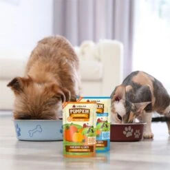 Weruva Pumpkin Patch Up! Pumpkin With Coconut Oil & Flaxseeds Dog & Cat Wet Food Supplement -Furry Friends 252857 PT6. AC SS1800 V1600395967