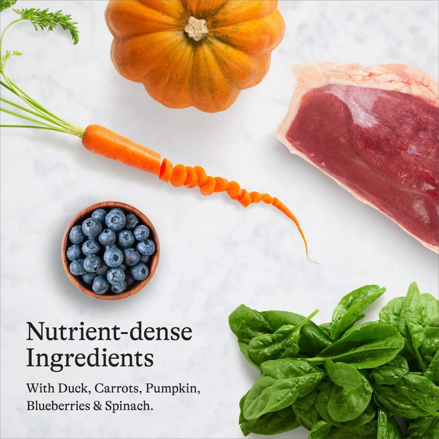 American Journey Duck Recipe Grain-Free Dry Cat Food & American Journey Minced Poultry & Seafood In Gravy Variety Pack Grain-Free Canned Cat Food 7 American Journey Duck Recipe Grain-Free Dry Cat Food & American Journey Minced Poultry & Seafood In Gravy Variety Pack Grain-Free Canned Cat Food - Image 5