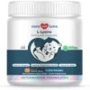 Coco And Luna L-Lysine Immune Support Salmon Flavor Powder Cat Supplement, 4-oz Jar -Furry Friends 253121 MAIN. AC SS1800 V1697138412