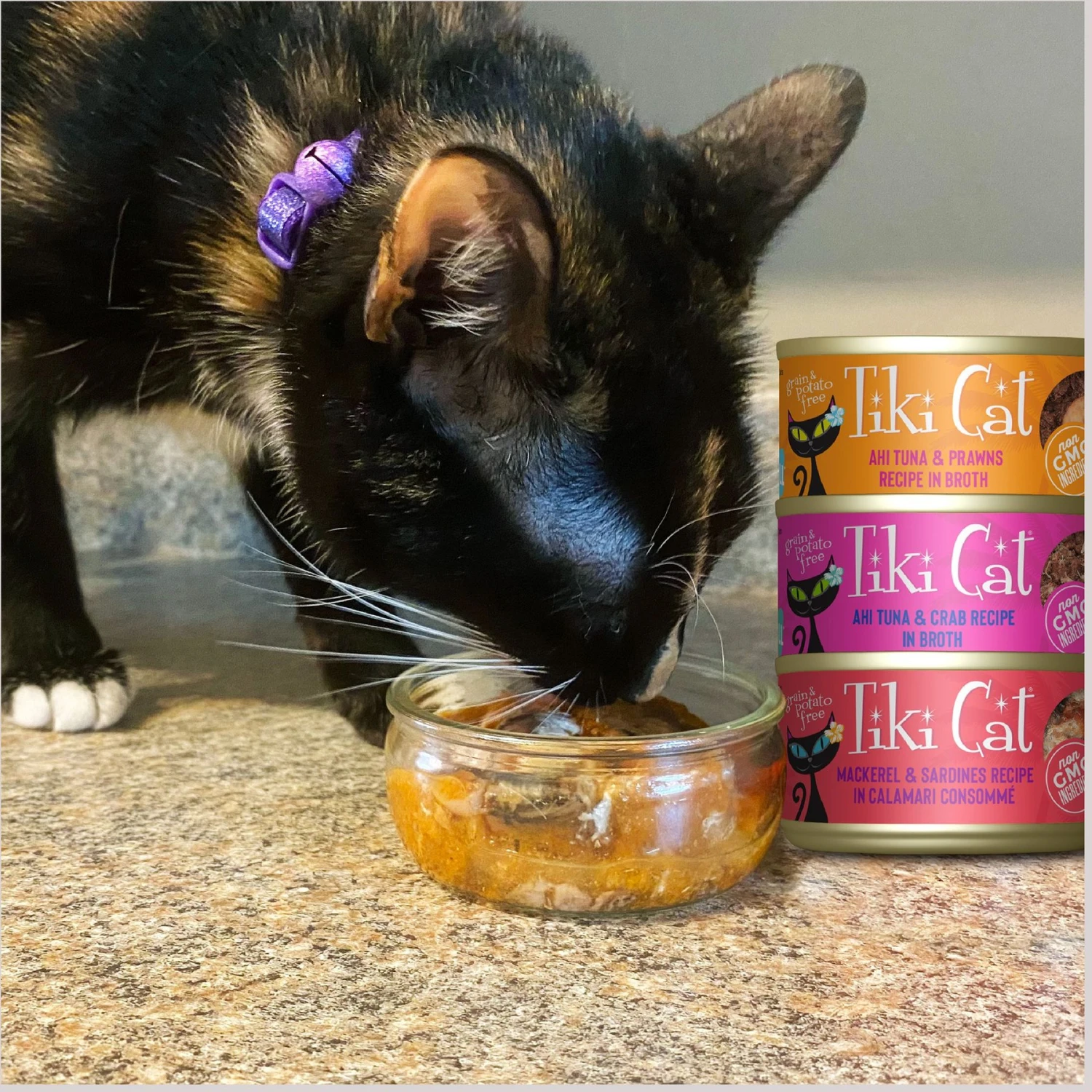 Tiki Cat Seafood Selects Variety Pack Grain-Free Wet Cat Food, 2.8-oz, Case Of 36 9 Tiki Cat Seafood Selects Variety Pack Grain-Free Wet Cat Food, 2.8-oz, Case Of 36 - Image 7