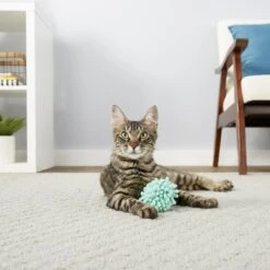 Frisco Moppy Ball Cat Toy With Catnip & Frisco Moppy Ball Cat Toy With Catnip -Furry Friends 255585 PT2. AC SS1800 V1602691604