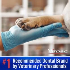 Virbac C.E.T. Dog & Cat Toothbrush & Virbac C.E.T. Enzymatic Malt Flavor Dog & Cat Toothpaste 17 Virbac C.E.T. Dog & Cat Toothbrush & Virbac C.E.T. Enzymatic Malt Flavor Dog & Cat Toothpaste -Furry Friends 255949 PT6. AC SS1800 V1644855401