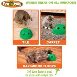 Allstar Innovations Pop N' Play Basic Cat Toy 11 Allstar Innovations Pop N' Play Basic Cat Toy -Furry Friends 257184 PT4. AC SS1800 V1602635189