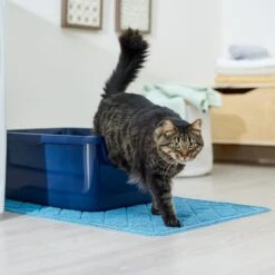 Frisco Quilted Cat Litter Mat 10 Frisco Quilted Cat Litter Mat -Furry Friends 258210 PT3. AC SS1800 V1675279933