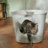 Frisco Leaf High-Sided Cat Litter Box, Large -Furry Friends 258782 MAIN. AC SS1800 V1675279700