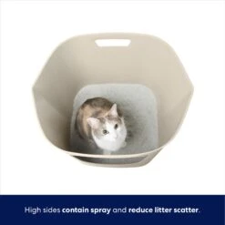 Frisco Leaf High-Sided Cat Litter Box, Large -Furry Friends 258782 PT2. AC SS1800 V1675279643