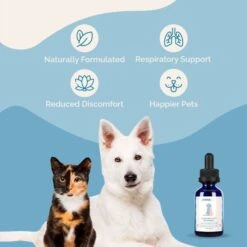 Prana Pets Respiratory Support Medicine For Asthma & Respiratory Infections For Cats & Dogs -Furry Friends 258962 PT5. AC SS1800 V1675882686