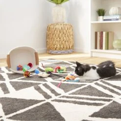 Goody Box Kitten Toys & Treats 14 Goody Box Kitten Toys & Treats -Furry Friends 258991 PT4. AC SS1800 V1657656402