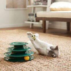 Goody Box Kitten Toys & Treats 15 Goody Box Kitten Toys & Treats -Furry Friends 258991 PT5. AC SS1800 V1657656402