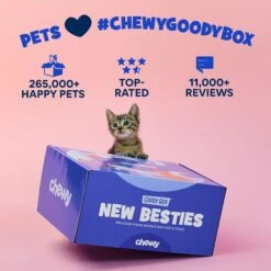 Goody Box Kitten Toys & Treats 16 Goody Box Kitten Toys & Treats -Furry Friends 258991 PT6. AC SS1800 V1657656401