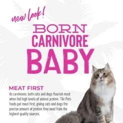 Tiki Cat Born Carnivore Deboned Chicken & Egg Recipe Dry Kitten Food, 2.8-lb Bag -Furry Friends 259092 PT5. AC SS1800 V1702938311