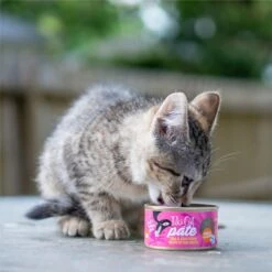 Tiki Cat Pate Tuna & Crab Surimi Recipe In Tuna Broth Wet Cat Food, 2.8-oz, Case Of 12 -Furry Friends 259126 PT6. AC SS1800 V1631198783