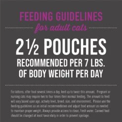 Tiki Cat Aloha Friends Chicken, Pumpkin & Duck Recipe In Broth Grain-Free Wet Cat Food, 2.5-oz, Case Of 12 -Furry Friends 259138 PT5. AC SS1800 V1651194697