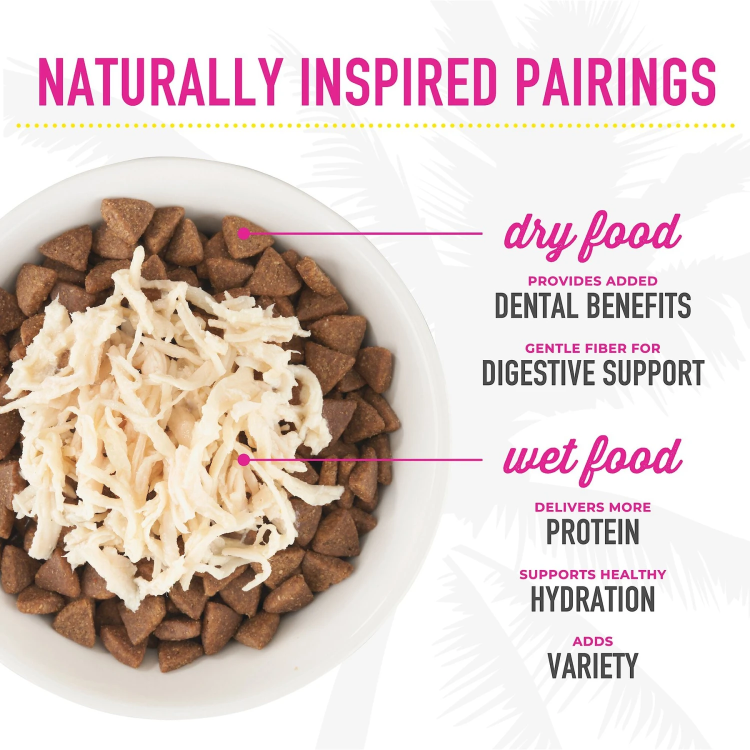 Tiki Cat Aloha Friends Chicken Variety Pack Grain-Free Wet Cat Food, 2.5-oz, Case Of 12 10 Tiki Cat Aloha Friends Chicken Variety Pack Grain-Free Wet Cat Food, 2.5-oz, Case Of 12 - Image 8