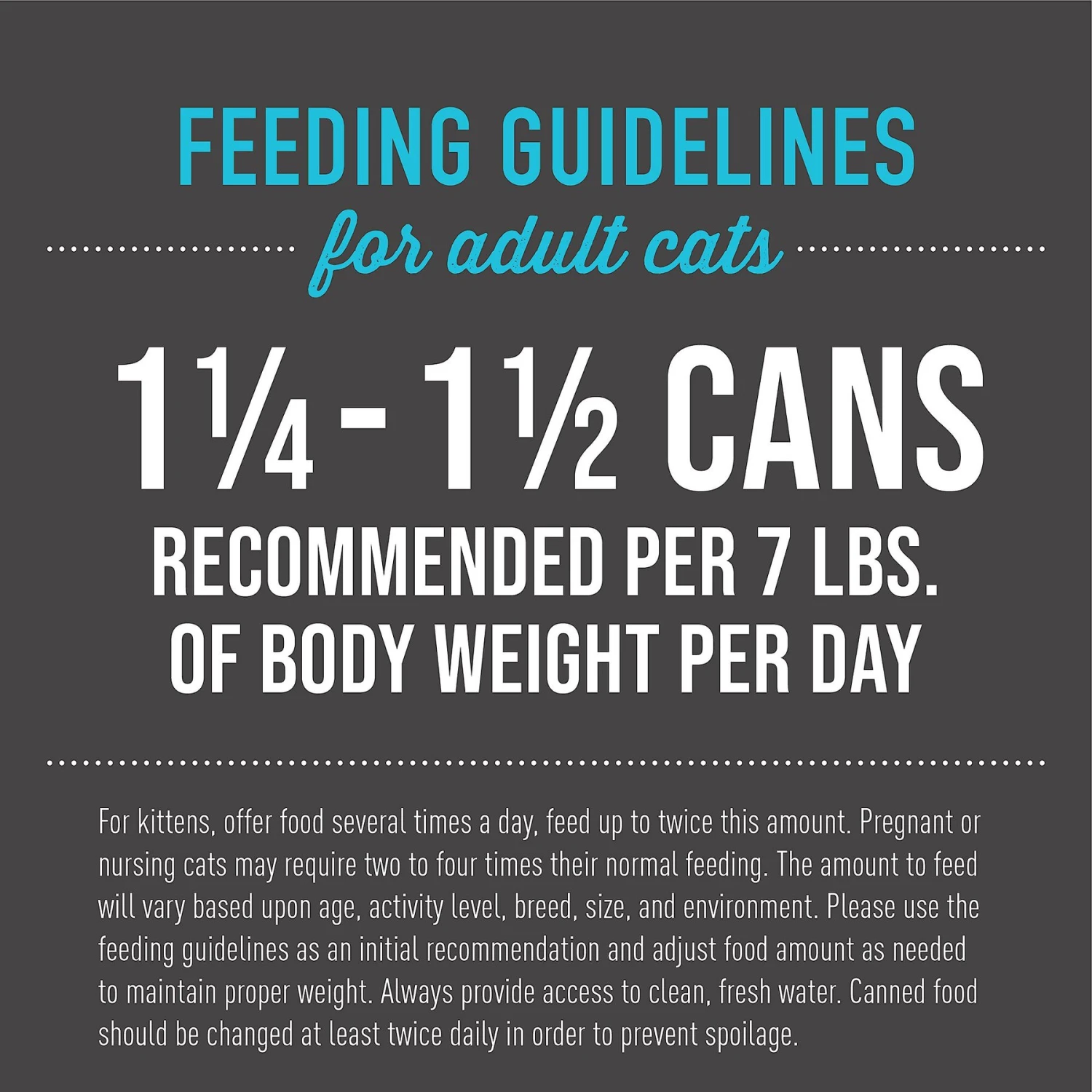 Tiki Cat Aloha Friends Fish & Pumpkin Variety Pack Grain-Free Wet Cat Food, 5.5-oz, Case Of 8 8 Tiki Cat Aloha Friends Fish & Pumpkin Variety Pack Grain-Free Wet Cat Food, 5.5-oz, Case Of 8 - Image 6