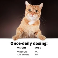 RestoraPet Feline Formula Organic Tuna Flavor Cat Supplement, 2-oz Bottle -Furry Friends 259494 PT7. AC SS1800 V1606171340