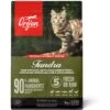 ORIJEN Tundra Grain-Free Dry Cat Food -Furry Friends 259512 MAIN. AC SS1800 V1689607852