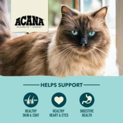 ACANA Bountiful Catch High-Protein Adult Dry Cat Food -Furry Friends 259541 PT4. AC SS1800 V1690998096