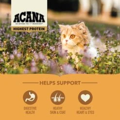 ACANA Meadowlands Grain-Free Dry Cat Food 15 ACANA Meadowlands Grain-Free Dry Cat Food -Furry Friends 259551 PT4. AC SS1800 V1691002879