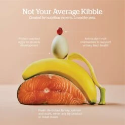 Now Fresh Grain-Free Kitten Formula Dry Cat Food -Furry Friends 261233 PT3. AC SS1800 V1637793433