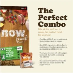 Now Fresh Grain-Free Kitten Formula Dry Cat Food -Furry Friends 261233 PT8. AC SS1800 V1637791942