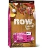 Now Fresh Grain-Free Adult Formula Dry Cat Food -Furry Friends 261235 MAIN. AC SS1800 V1637791950