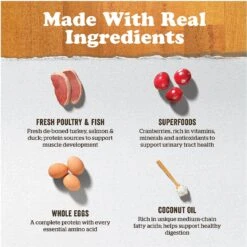 Now Fresh Grain-Free Senior Dry Cat Food -Furry Friends 261237 PT3. AC SS1800 V1637791458