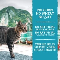 Triumph Free Spirit Deboned Ocean Whitefish & Egg Recipe Dry Cat Food 14 Triumph Free Spirit Deboned Ocean Whitefish & Egg Recipe Dry Cat Food -Furry Friends 262213 PT3. AC SS1800 V1606867038