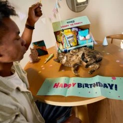 Goody Box Birthday Cat Toys, Treats & Collar -Furry Friends 264415 PT2. AC SS1800 V1678387796