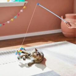 Frisco Pinata Teaser Wand Cat Toy With Catnip -Furry Friends 264446 PT3. AC SS1800 V1618948636