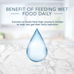 Blue Buffalo Tastefuls Salmon, Chicken, Ocean Fish & Tuna Entrées Variety Pack Pate Wet Cat Food, 3-oz Can, Case Of 12 17 Blue Buffalo Tastefuls Salmon, Chicken, Ocean Fish & Tuna Entrées Variety Pack Pate Wet Cat Food, 3-oz Can, Case Of 12 -Furry Friends 264515 PT6. AC SS1800 V1689355755