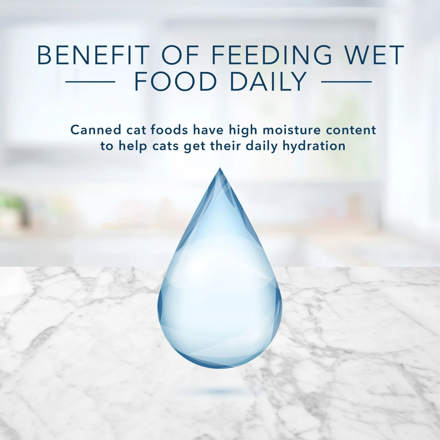 Blue Buffalo Tastefuls Salmon, Chicken, Ocean Fish & Tuna Entrées Variety Pack Pate Wet Cat Food, 3-oz Can, Case Of 12 9 Blue Buffalo Tastefuls Salmon, Chicken, Ocean Fish & Tuna Entrées Variety Pack Pate Wet Cat Food, 3-oz Can, Case Of 12 - Image 7