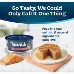 Blue Buffalo Tastefuls Salmon Entrée Pate Wet Cat Food 12 Blue Buffalo Tastefuls Salmon Entrée Pate Wet Cat Food -Furry Friends 264546 PT2. AC SS1800 V1630737118