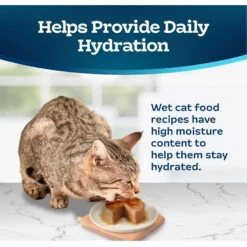 Blue Buffalo Tastefuls Salmon Entrée Pate Wet Cat Food 16 Blue Buffalo Tastefuls Salmon Entrée Pate Wet Cat Food -Furry Friends 264546 PT6. AC SS1800 V1630732320