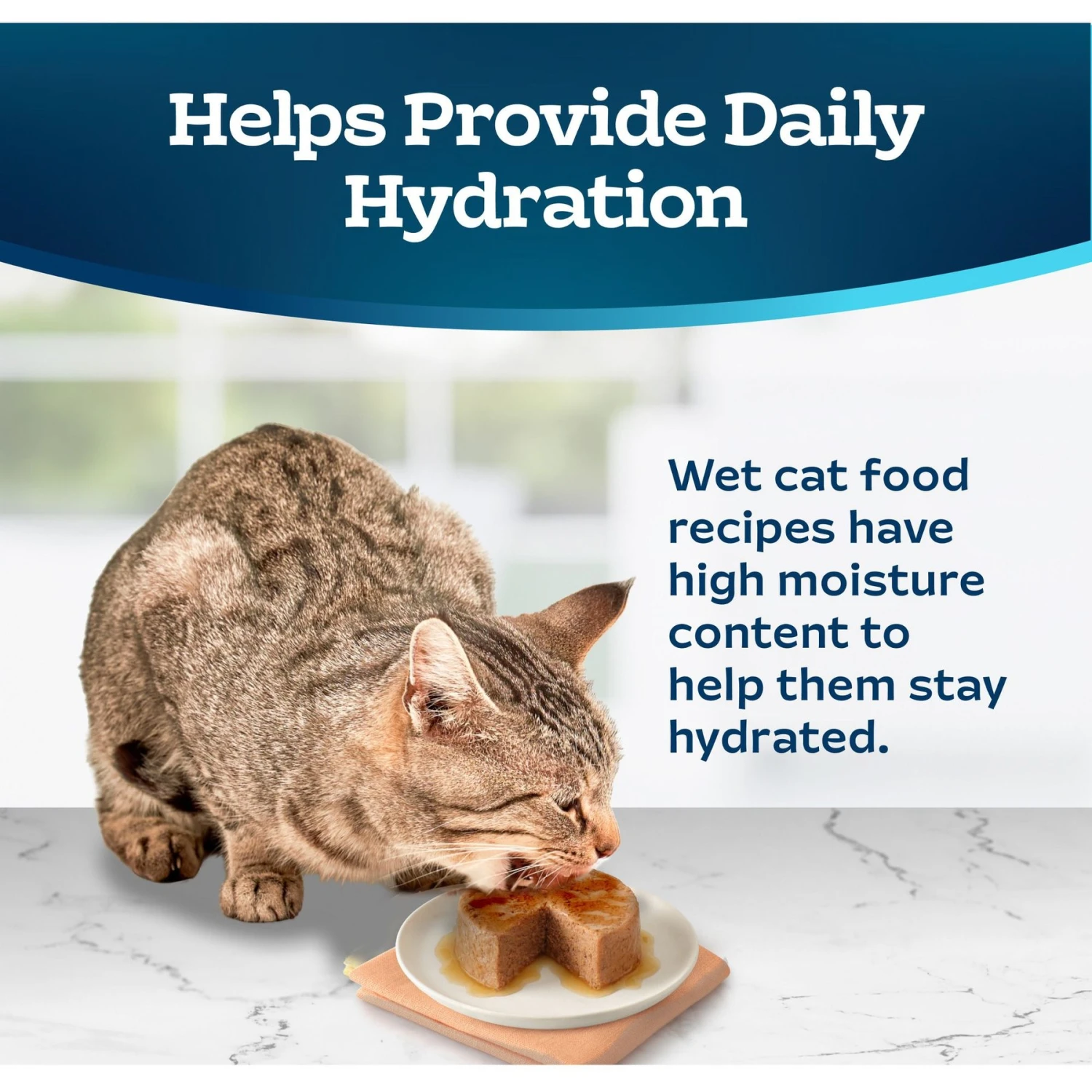 Blue Buffalo Tastefuls Salmon Entrée Pate Wet Cat Food 9 Blue Buffalo Tastefuls Salmon Entrée Pate Wet Cat Food - Image 7