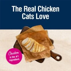 Blue Buffalo True Solutions Hairball Control Chicken Adult Dry Cat Food -Furry Friends 264571 PT2. AC SS1800 V1696449380