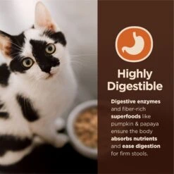 Wellness CORE Digestive Health Wholesome Grains Chicken & Rice Recipe Dry Cat Food -Furry Friends 264891 PT3. AC SS1800 V1608684766