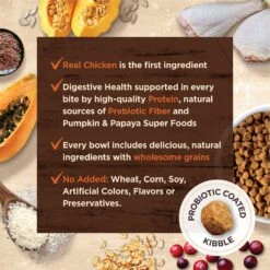 Wellness CORE Digestive Health Wholesome Grains Chicken & Rice Recipe Dry Cat Food -Furry Friends 264891 PT6. AC SS1800 V1608682945