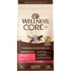 Wellness CORE Digestive Health Wholesome Grains Salmon & Rice Recipe Dry Cat Food 1 Wellness CORE Digestive Health Wholesome Grains Salmon & Rice Recipe Dry Cat Food -Furry Friends 264893 MAIN. AC SS1800 V1608661990