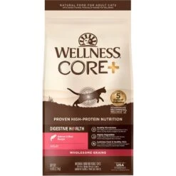 Wellness CORE Digestive Health Wholesome Grains Salmon & Rice Recipe Dry Cat Food